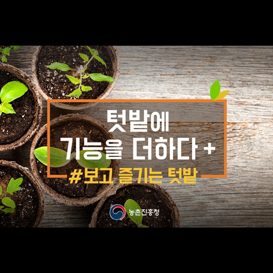 텃밭에 기능을 더하다, 보고 즐기는 텃밭
