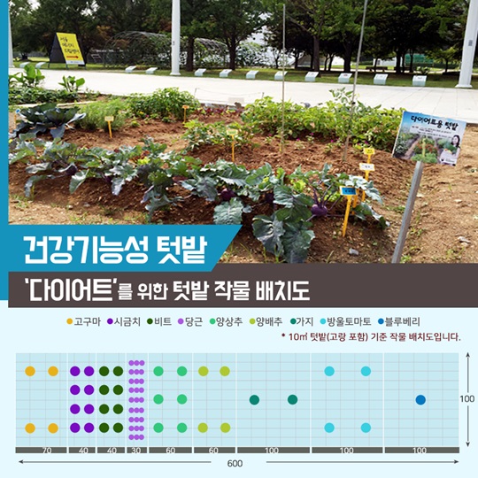 텃밭에 기능을 더하다, 건강기능성 텃밭