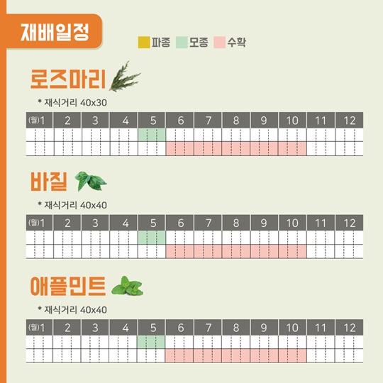 텃밭에 기능을 더하다, 보고 즐기는 텃밭
