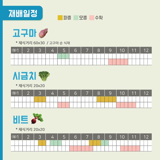 텃밭에 기능을 더하다, 건강기능성 텃밭