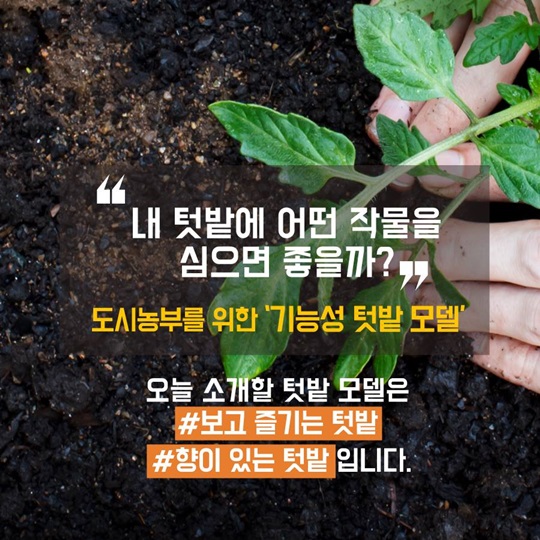 텃밭에 기능을 더하다, 보고 즐기는 텃밭
