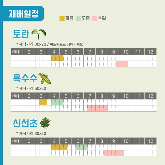 텃밭에 기능을 더하다, 건강기능성 텃밭