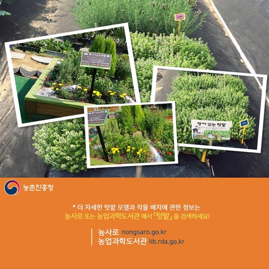 텃밭에 기능을 더하다, 보고 즐기는 텃밭