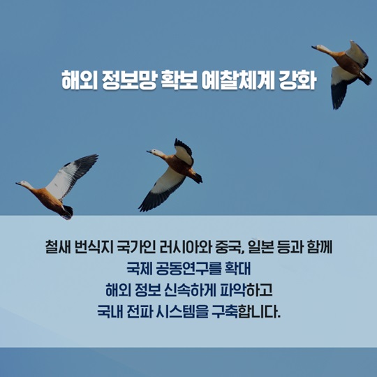 AI·구제역 방역 개선대책