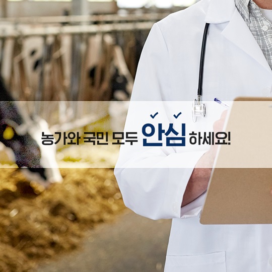 AI·구제역 방역 개선대책