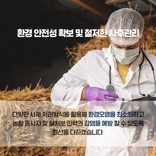 AI·구제역 방역 개선대책