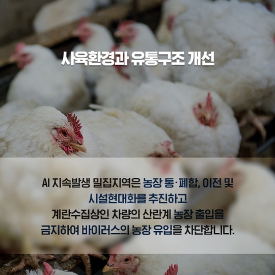 AI·구제역 방역 개선대책