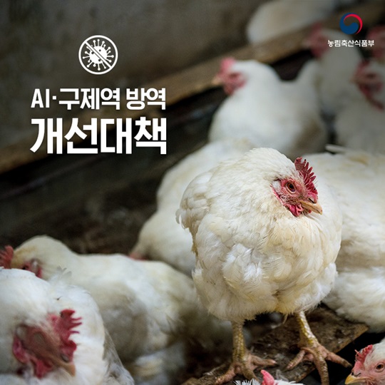 AI·구제역 방역 개선대책