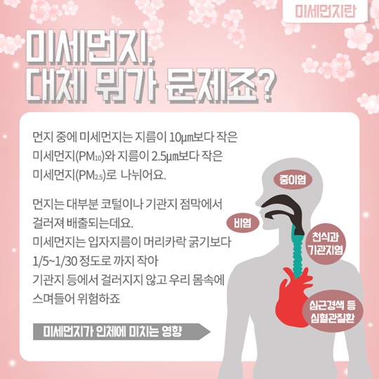 미세먼지에 대처하는 나우 매뉴얼