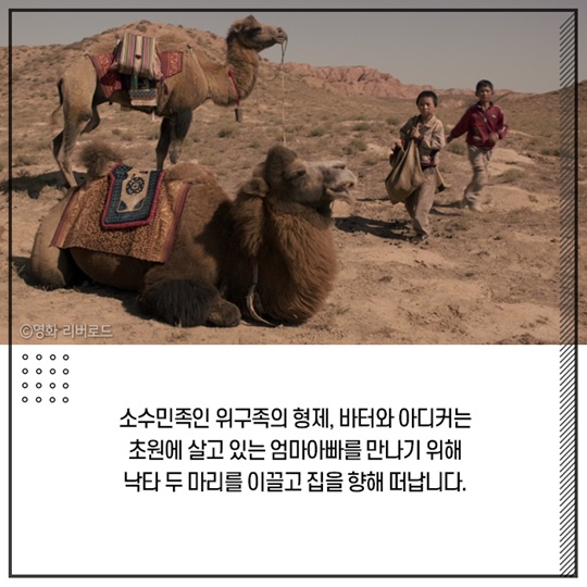 중국의 사막화를 그리다. 리버로드