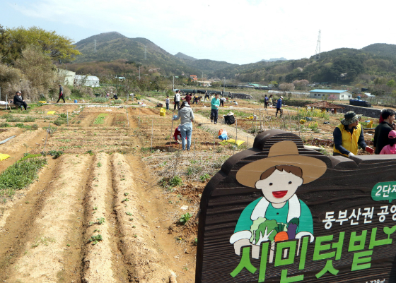 친환경 농작물 재배 시민 텃밭.<저작권자(c) 연합뉴스, 무단 전재-재배포 금지> 