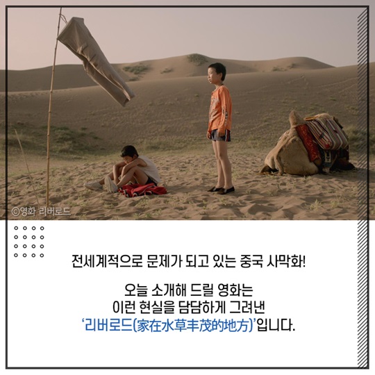 중국의 사막화를 그리다. 리버로드