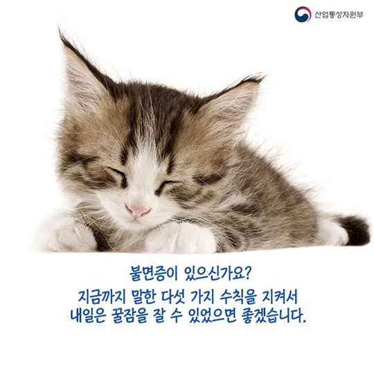 늘어나는 불면증 환자, 꿀잠 위한 5계명