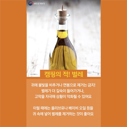 봄 캠핑, 이런 점들을 조심하세요