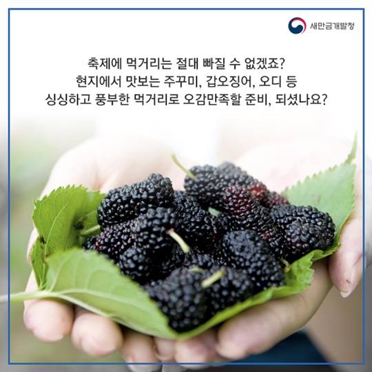 부안 오복 마실축제로 오세요