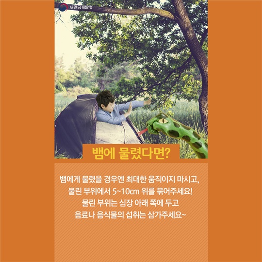 봄 캠핑, 이런 점들을 조심하세요