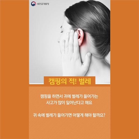 봄 캠핑, 이런 점들을 조심하세요