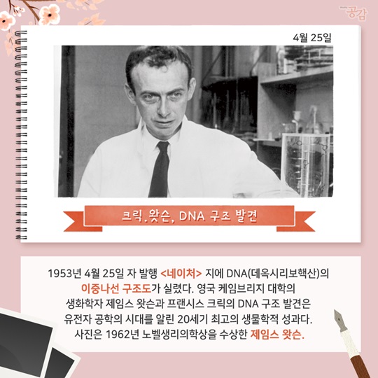 사진으로 보는 이 주의 역사