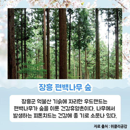 행복한 봄 여행, 대한민국 방방곡곡 4선