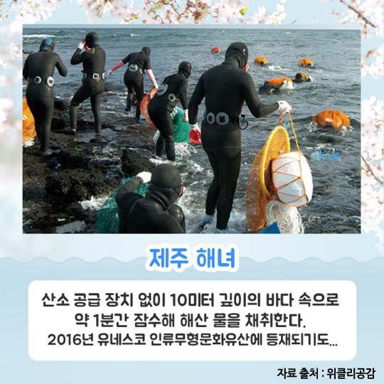 행복한 봄 여행, 대한민국 방방곡곡 4선