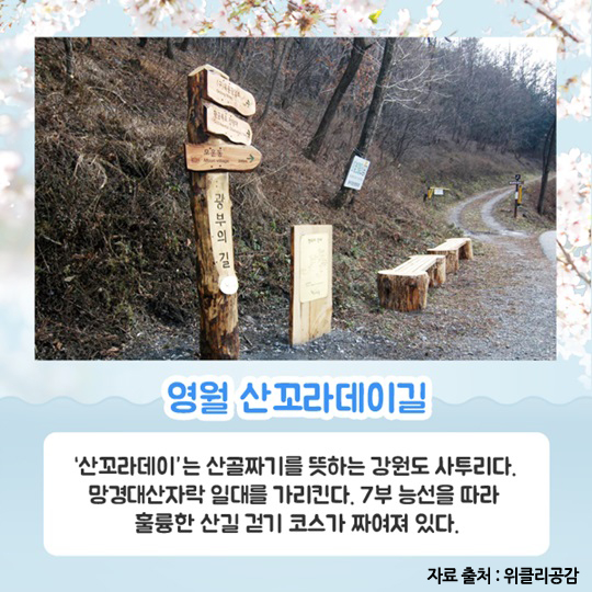 행복한 봄 여행, 대한민국 방방곡곡 4선