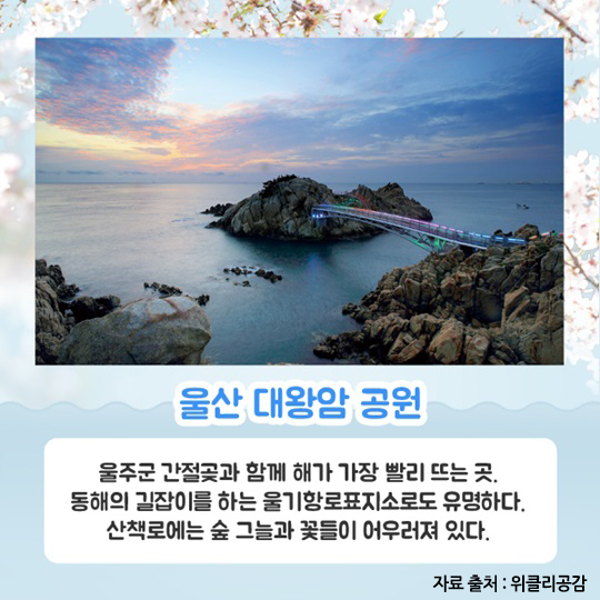 행복한 봄 여행, 대한민국 방방곡곡 4선