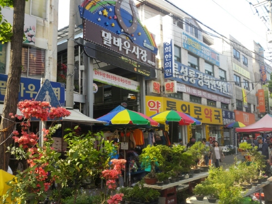 필자의 집 주변에 오래된 시장인 말바우 시장이다