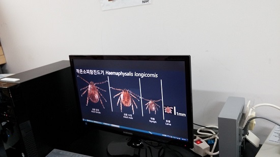 작은소 피참진드기의 성장 과정