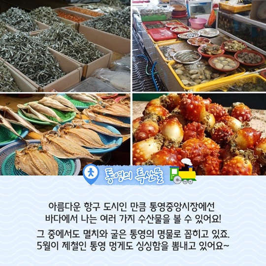 통영중앙시장으로 떠나 봄