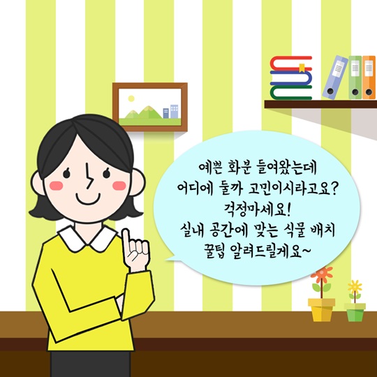 효과만점, 실내식물 배치