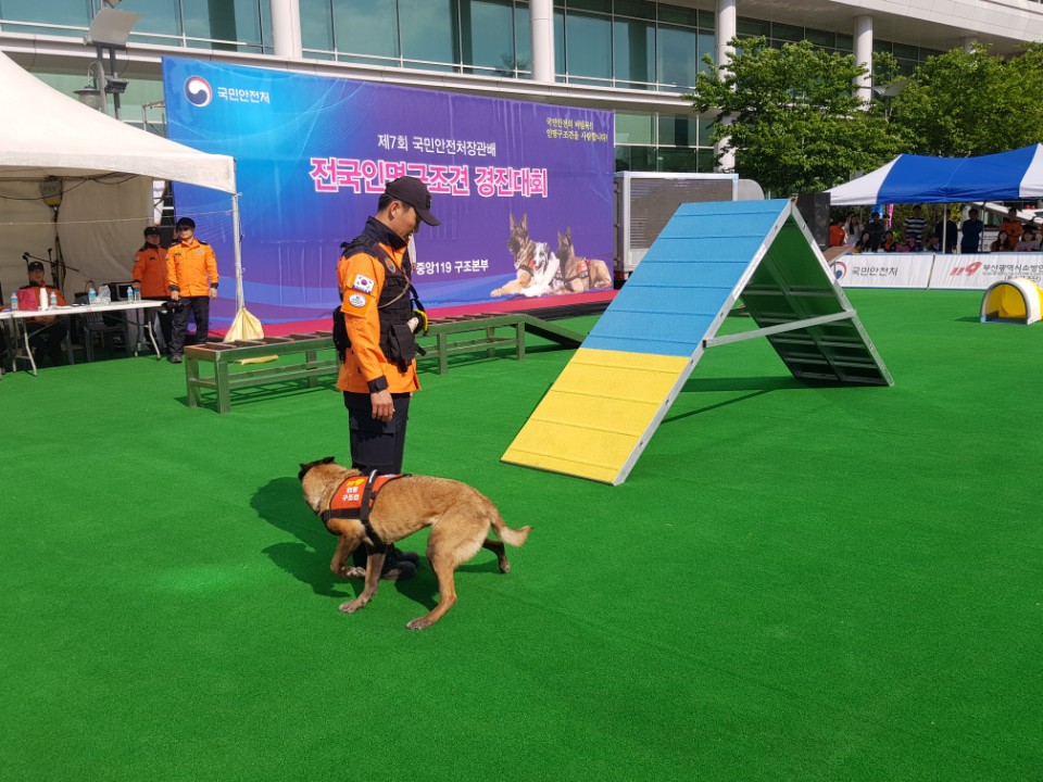 시소, 사다리, A자 허들 등을 거침없이 오르내리는 인명구조견들의 모습이 인상적이었다.