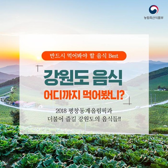 강원도 음식 어디까지 먹어봤니