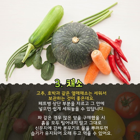 남은 음식을 부탁해! 냉장고 식품 보관TIP