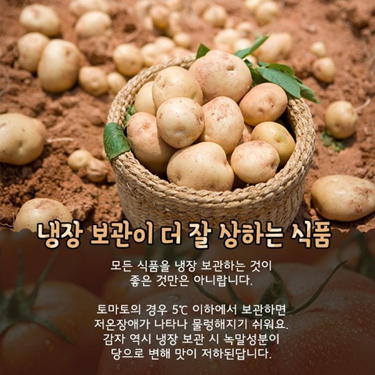 남은 음식을 부탁해! 냉장고 식품 보관TIP