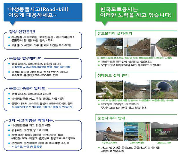 야생동물사고 단계별 대응요령
