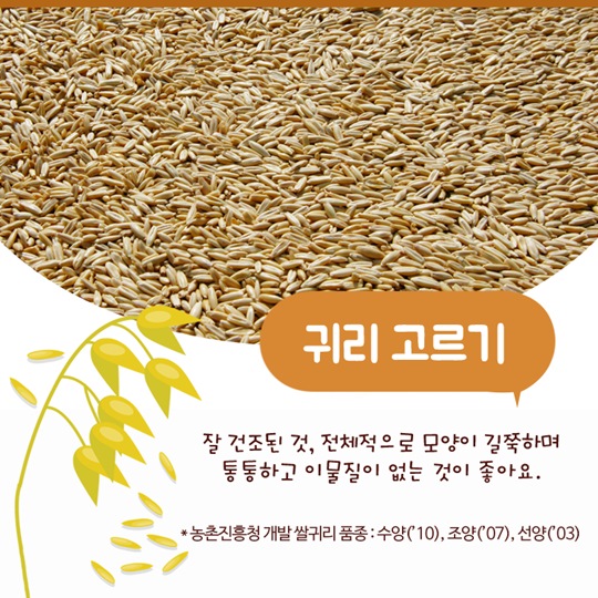 이달의 식재료