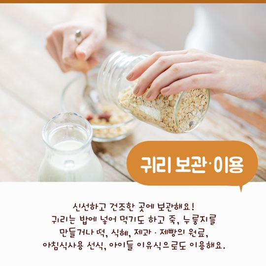 이달의 식재료