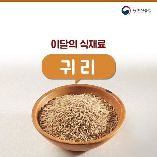 이달의 식재료