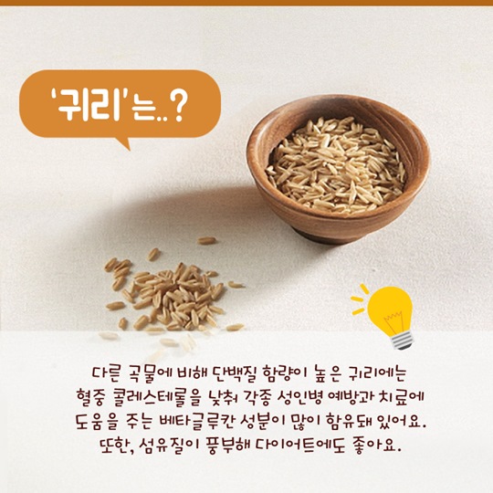 이달의 식재료