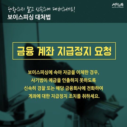 보이스피싱 피해 사례와 대처법