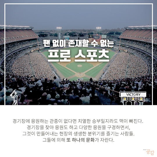 프로 스포츠 관람객 성향 조사
