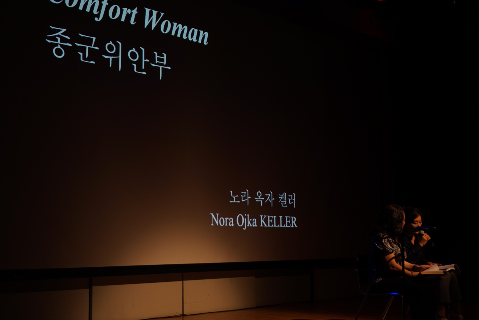 소설