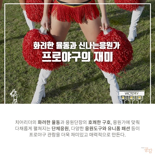 프로 스포츠 관람객 성향 조사