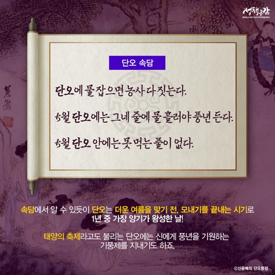 더위를 알리는 단오 풍습, 음식, 전국 축제 정보