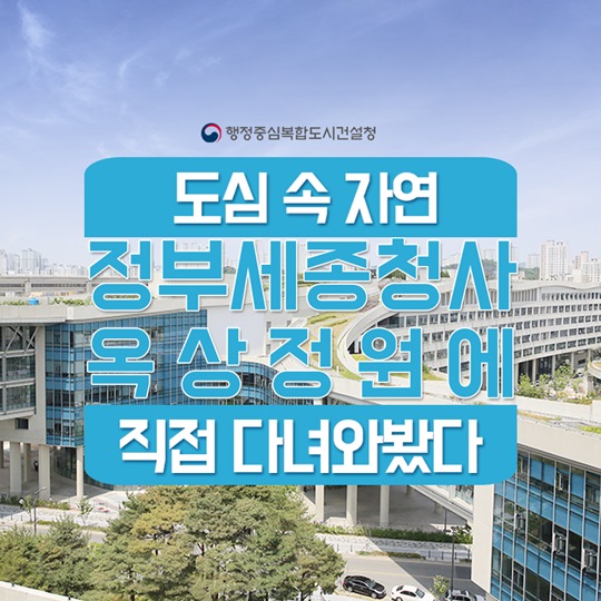 도심 속 자연 정부세종청사 옥상정원