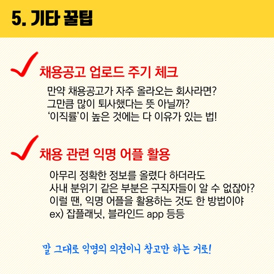 청년정책