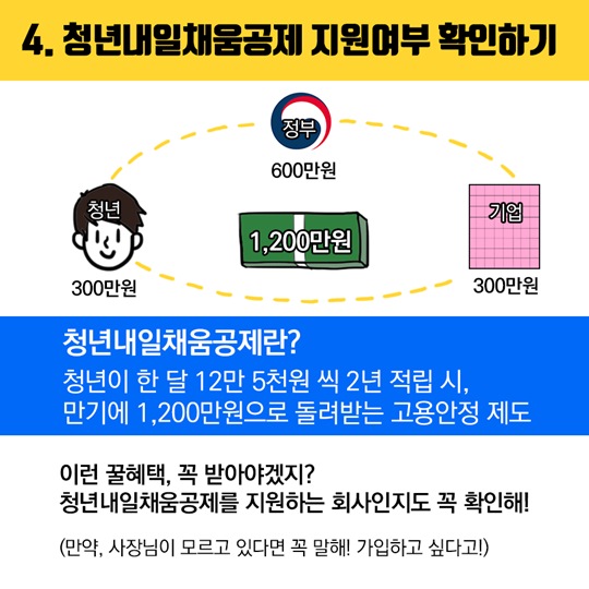 청년정책