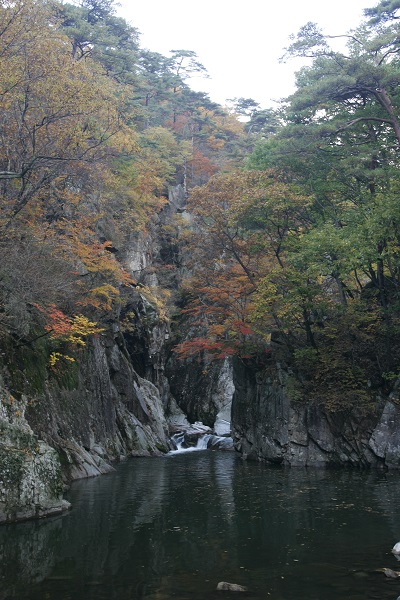 낙화담.
