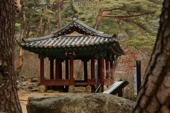 농산정.