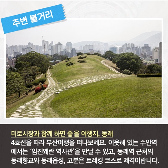 부산 서동미로시장 명물 ‘계란만두’, 들어는 봤니?